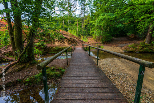 wooden bridge in the forest, hiking trails