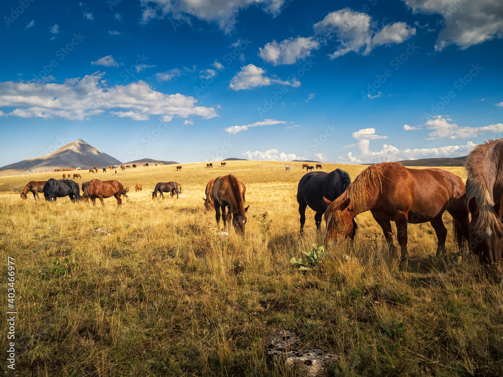 campo imperatore