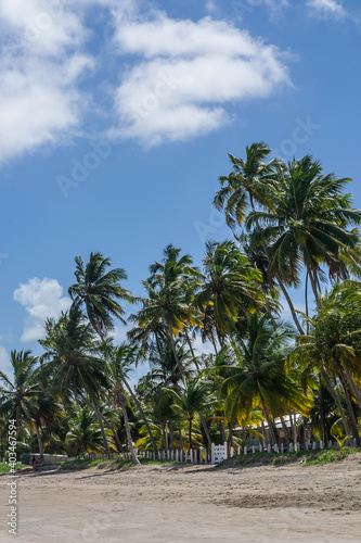 Beaches of Brazil - Peroba Beach, Maragogi - Alagoas State