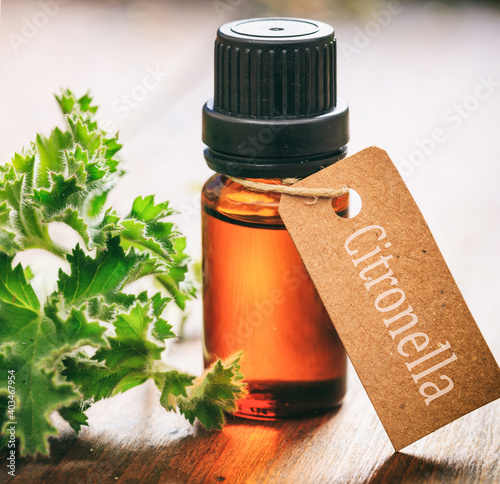 Fresh citronella plant leaves and essential oil on wooden background