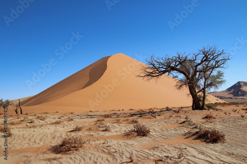 Dune 45 in Sossusvlei Namib Desert - Namib-Naukluft National Park, Namibia, Africa