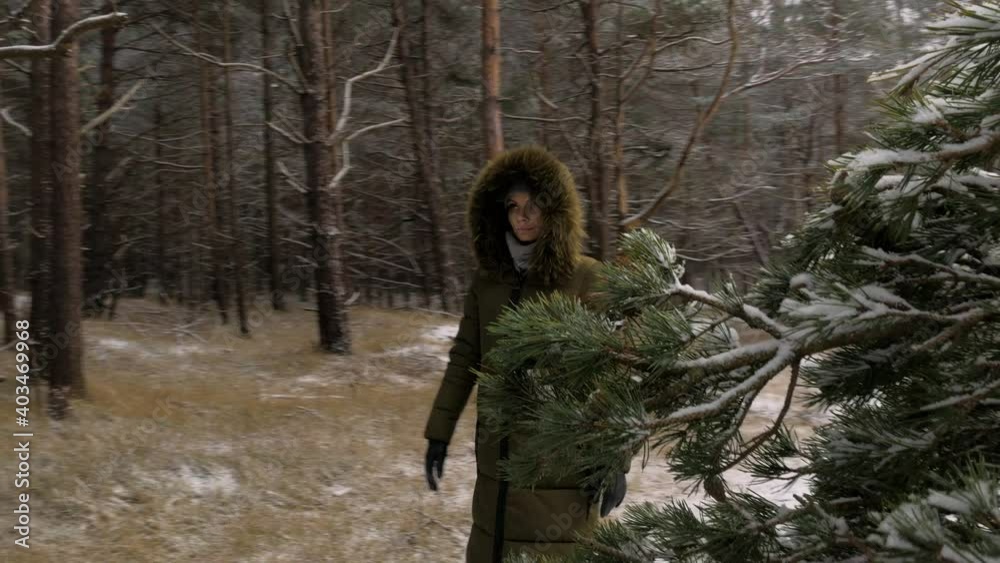 Young woman in green winter clothes walks in the pine wood along the sandy shore of the Baltic sea beach, wide tracking shot trough the pine branches Young woman in green winter clothes walks in the pine wood along the sandy shore of the Baltic sea beach, wide tracking shot trough the pine branches