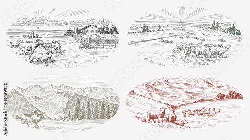 Rural meadow set. A village landscape with sheep, hills and a farm. Sunny scenic country view. Hand drawn engraved sketch. Vintage rustic banner for wooden sign or badge or label.