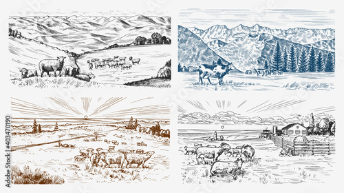 Rural meadow set. A village landscape with sheep, hills and a farm. Sunny scenic country view. Hand drawn engraved sketch. Vintage rustic banner for wooden sign or badge or label.