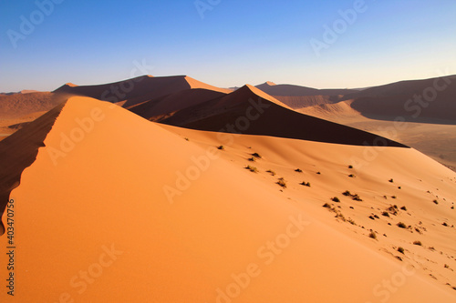 Dune 45 in Sossusvlei Namib Desert - Namib-Naukluft National Park  Namibia  Africa