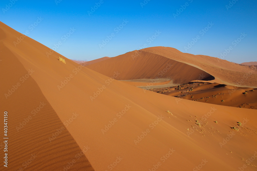 Dune 45 in Sossusvlei Namib Desert - Namib-Naukluft National Park, Namibia, Africa