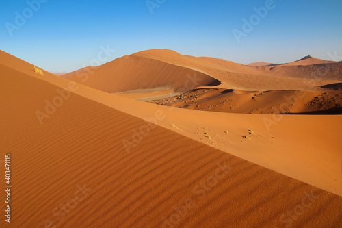 Dune 45 in Sossusvlei Namib Desert - Namib-Naukluft National Park  Namibia  Africa