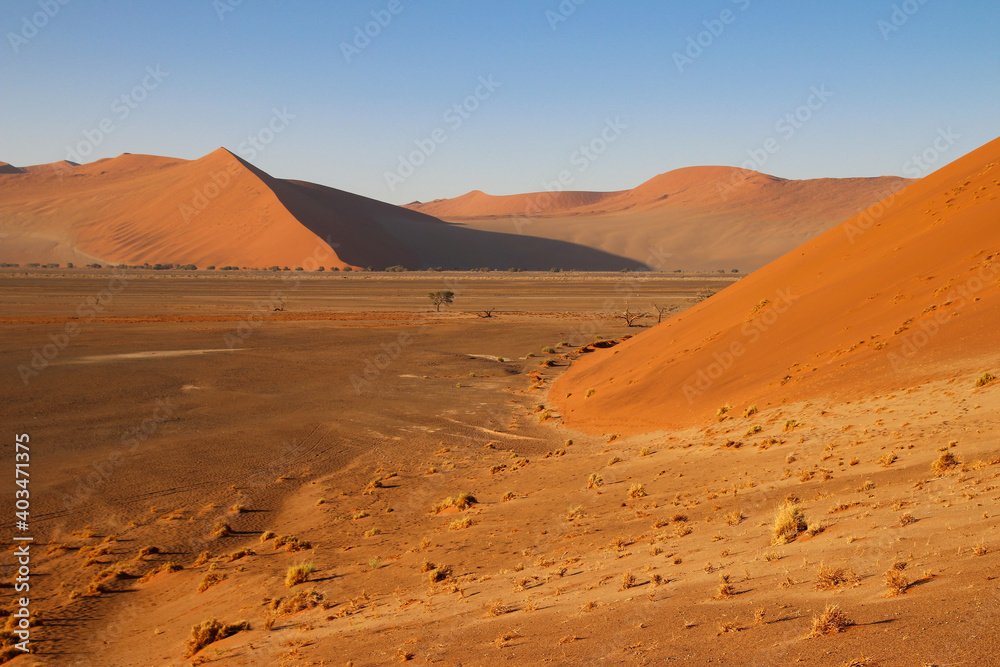 Dune 45 in Sossusvlei Namib Desert - Namib-Naukluft National Park ...