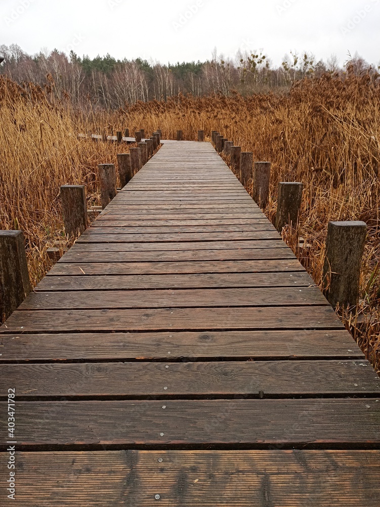 wooden bridge over the river wooden bridge over the river