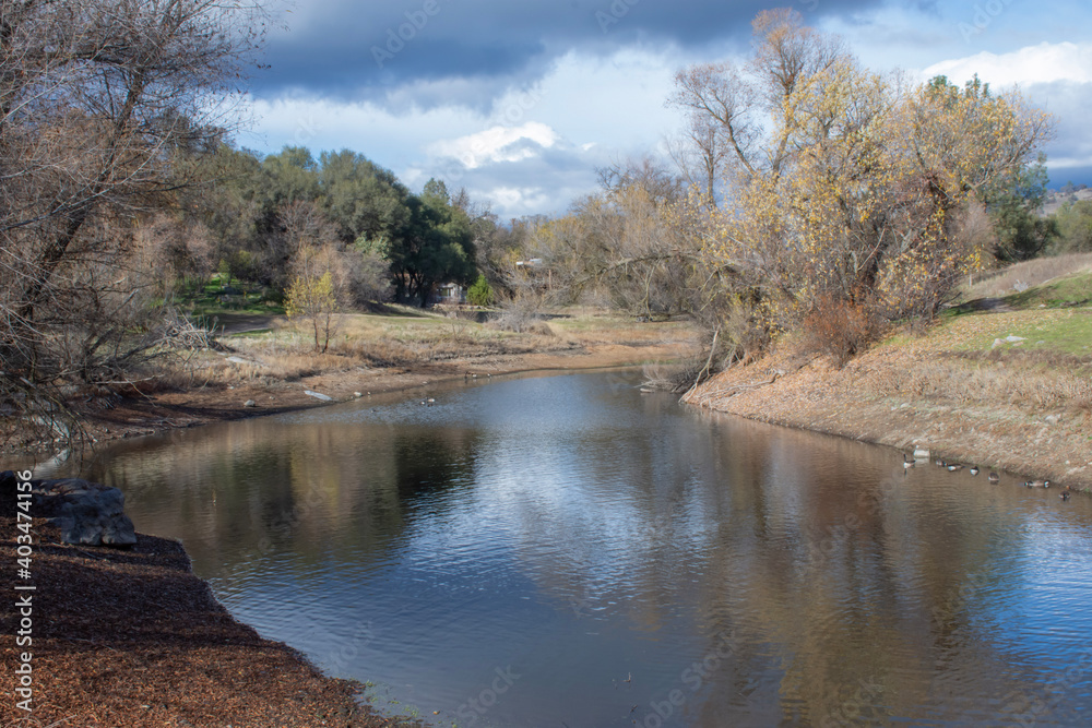 Small Pond With Ducks