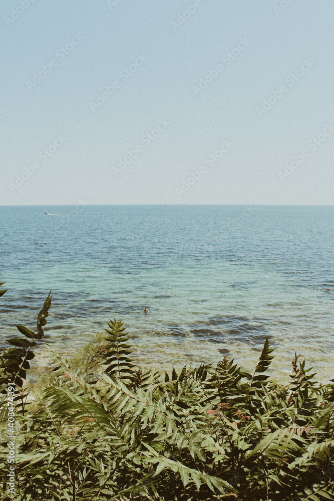 beach and sea