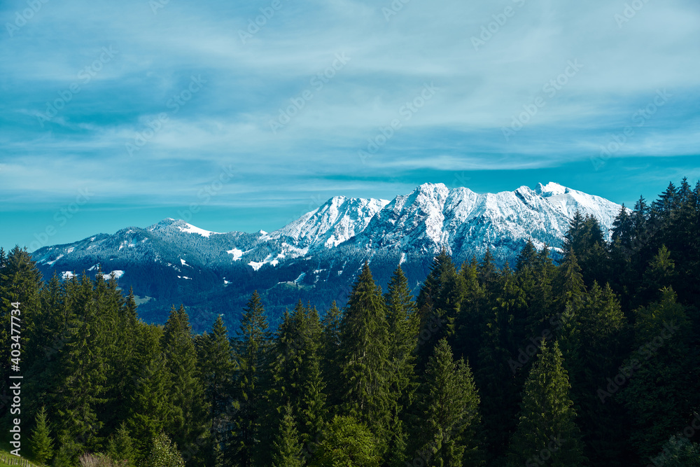 Fototapeta premium mountains in the snow