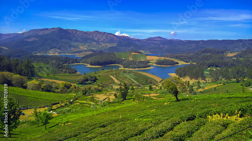 Emerald Lake. Ooty, Tamil Nadu, India photo