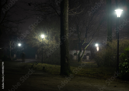 Tree trunk lit by lanterns in the dead of night