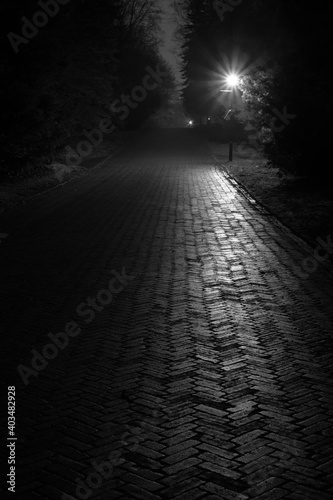 Old park road made from bricks lit by lantern © Krzysztof