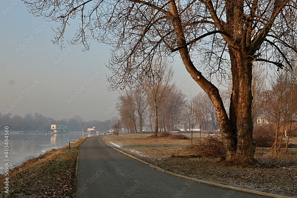 Fototapeta premium road in the winter