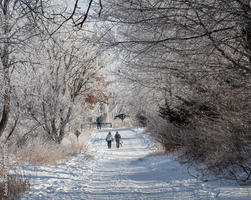 People walk under a dome of frost covered treesin winter photo