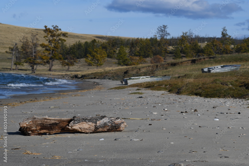 A large broken tree lies on the beach and boats in the background