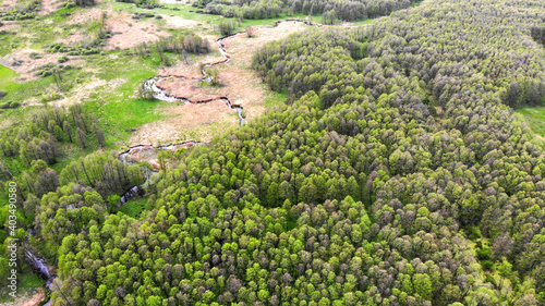Aerial. Spring landscape with stream and young green forest. View above from drone.