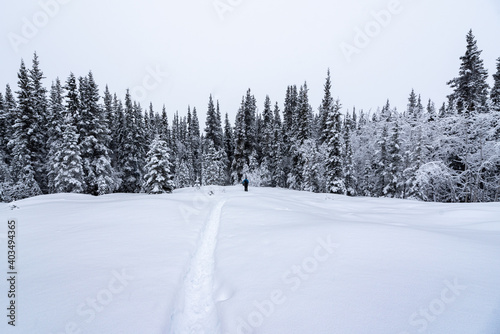 Man walking through wilderness snowy winter frosty wearing black overalls, pants and blue jacket standing out from white snow landscape surrounding.