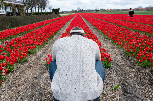 A man kneeling down, showing us his back, wearing a white knit Irish wool sweater and hat. In a field of red tulips in the Netherlands (Holland). photo