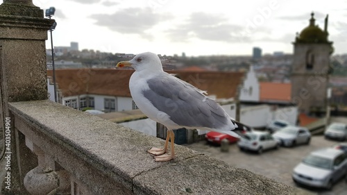 Porto Portugal