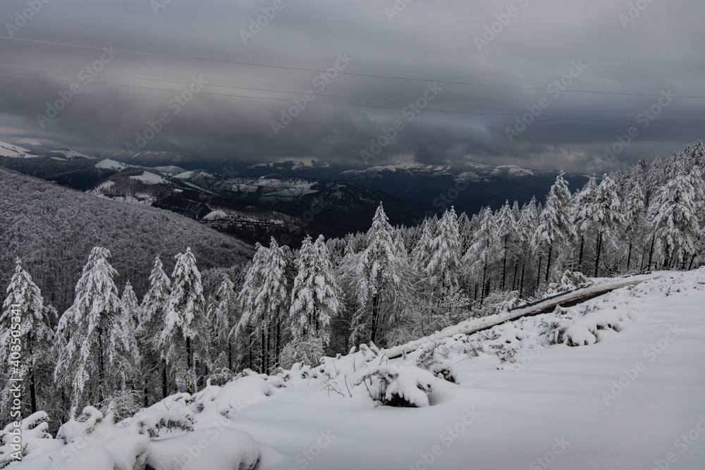 Paisajes nevados en el valle de Artikutza, zona de Bianditz
Paisajes nevados en el valle de Artikutza, zona de Bianditz