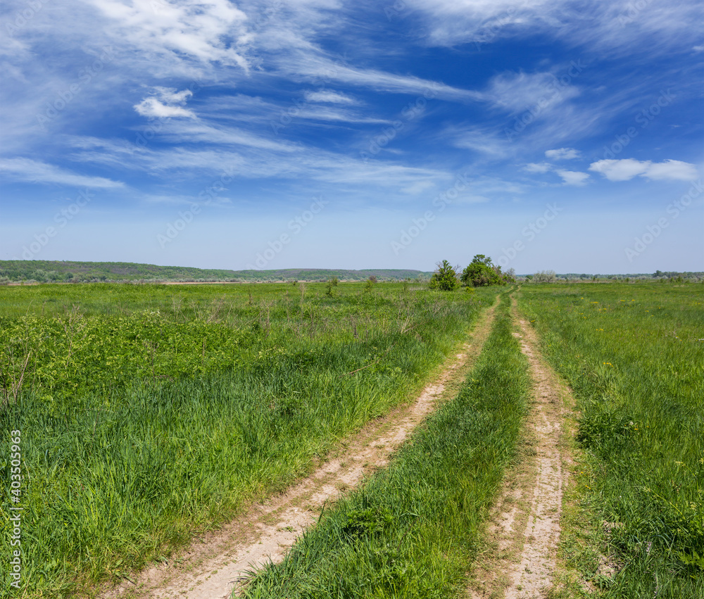 pathway in summer steppe