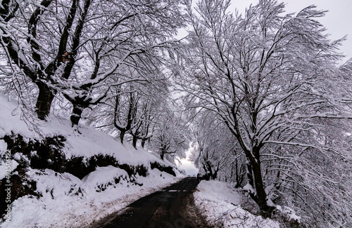 Paisajes nevados en el valle de Artikutza, zona de Bianditz
 photo