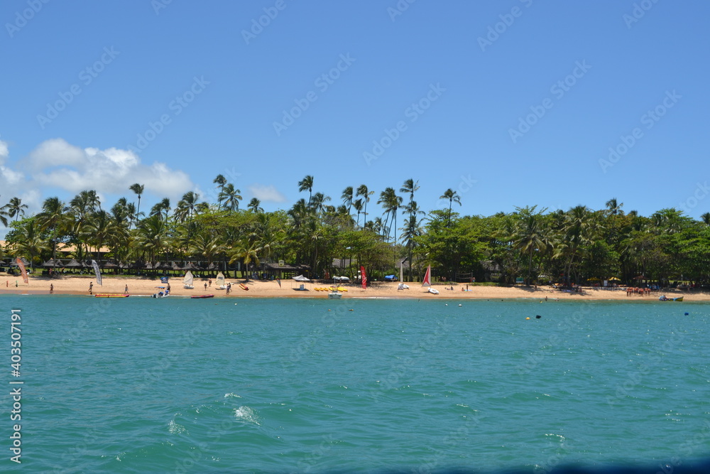beach with palm trees beach with palm trees