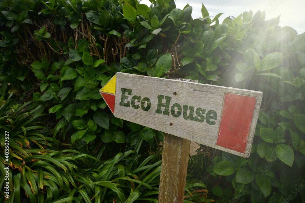 vintage old wooden signboard with text eco house near the green plants.