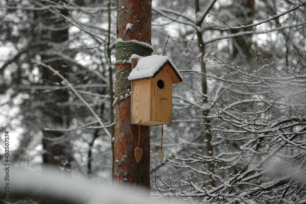 A beige wooden birdhouse hanging on a tree in the winter forest