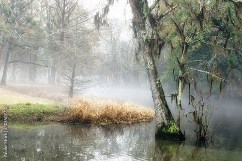 Foggy morning on the Edisto River.