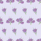 Seamless pattern with Crocus. Spring flowers. Vector isolated illustration. Element for wrapping paper, textile, wallpaper or others