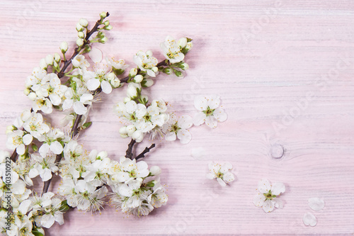 Plum flowers on a wooden background © Tatiana Nurieva