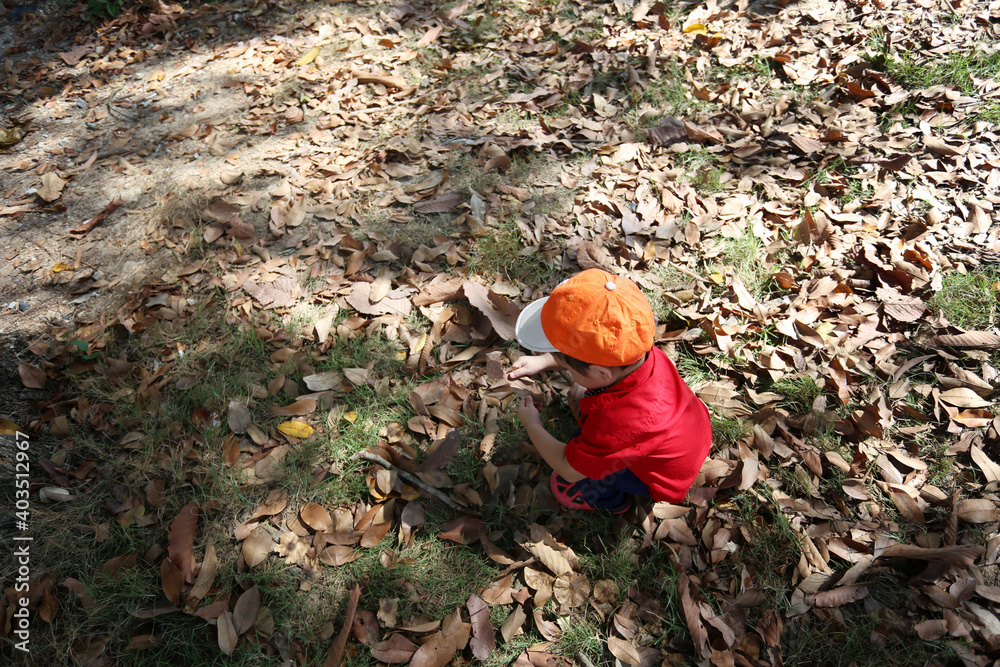 Fototapeta premium Asian boy is sitting in the garden.