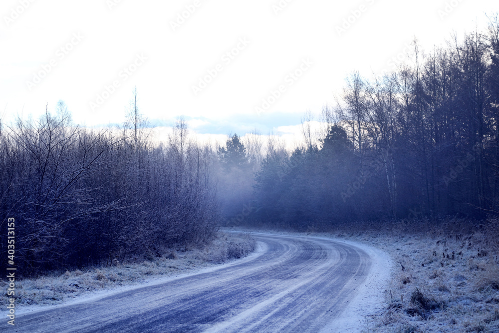 Fototapeta premium road in snow at the forest