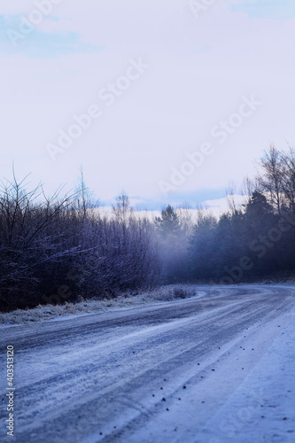 road in snow at the forest
