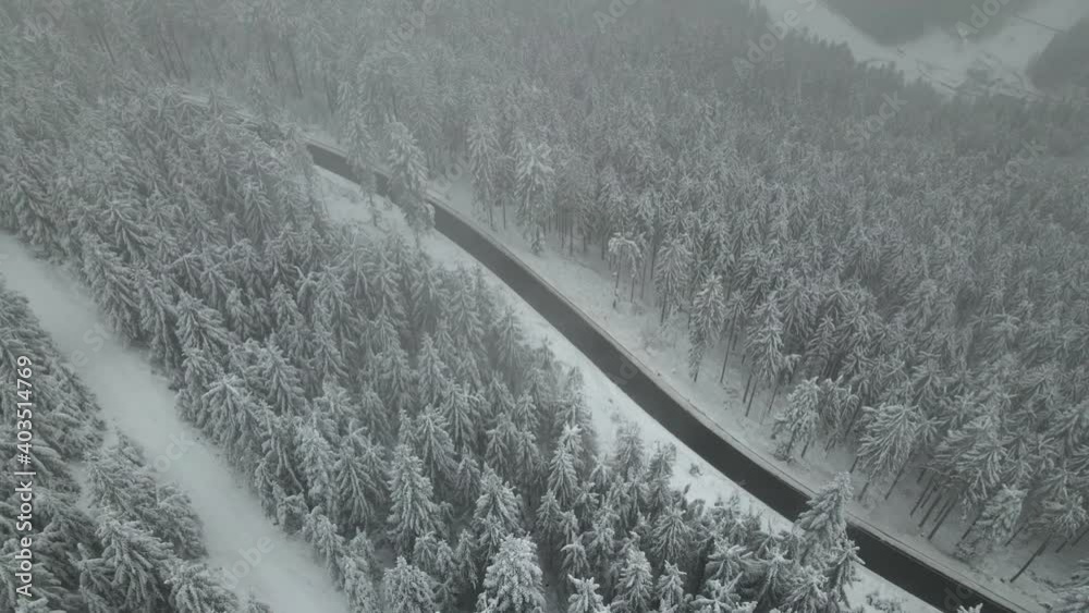 Empty road between snow covered forest Empty road between snow covered forest