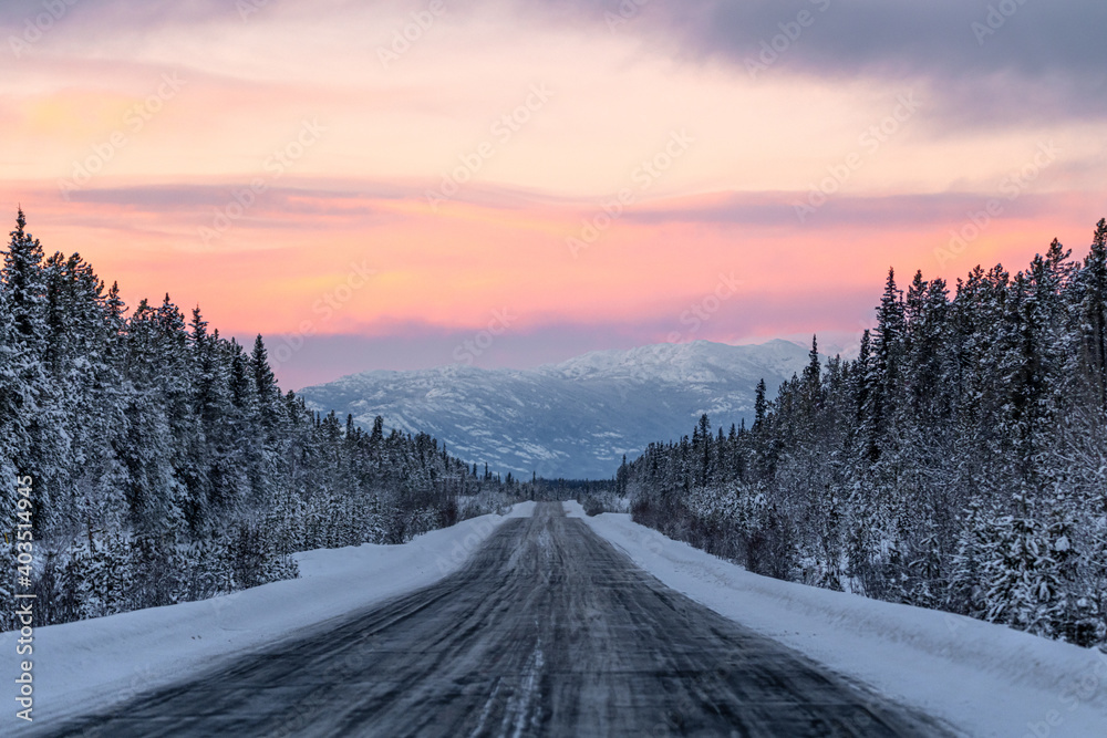 The Alaska Highway in Yukon Territory, northern Canada during December, winter time season with snow, snowy landscape on a cold, morning sunrise with pink, purple, orange colors. 