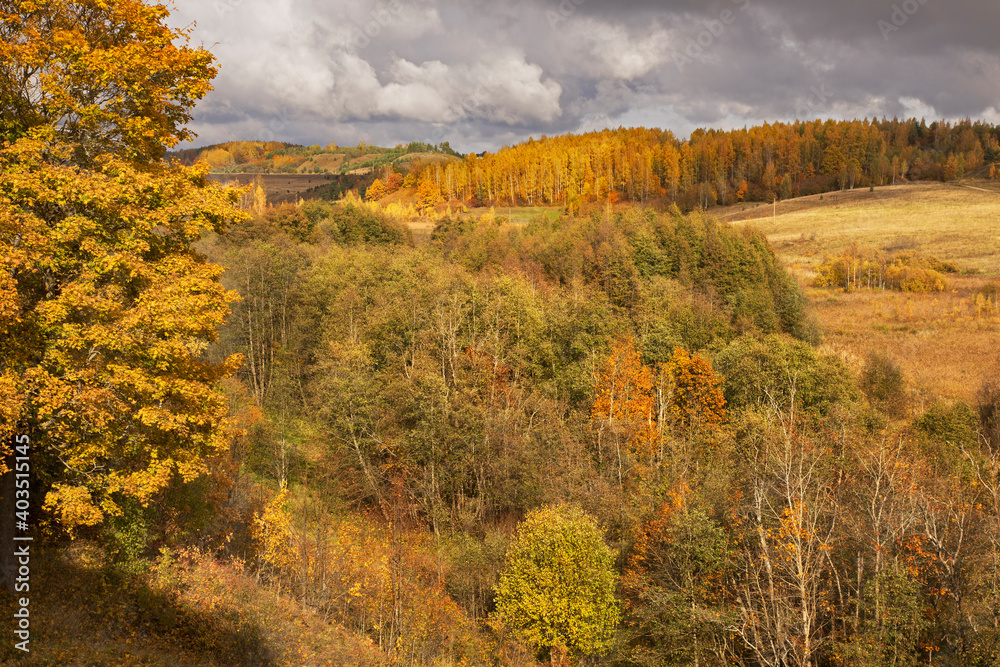Fototapeta premium Autumn landscape near Izborsk city. Russia