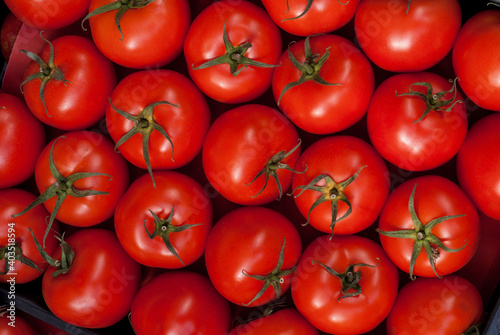 High-resolution photo of pattern, tomato, fresh