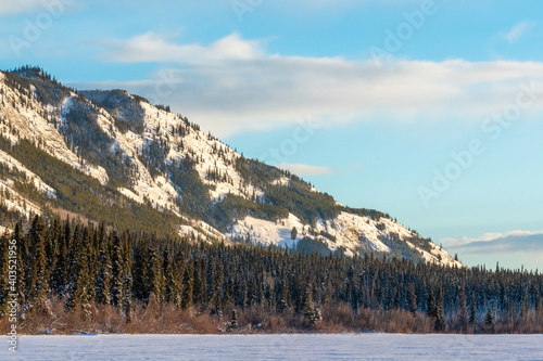 Side of a mountain woods, forest wilderness in northern Canada during winter time with snow, snowy covered ground in December, Yukon Territory. 