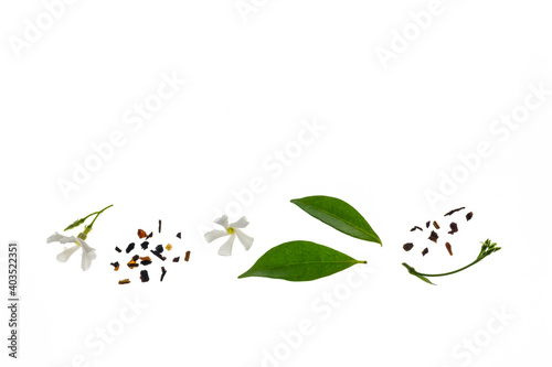 loose jasmine flavoured green tea with fresh tea leaves and jasmine flowers on white background
