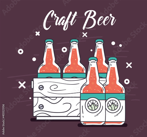 craft beer bottles box vector design