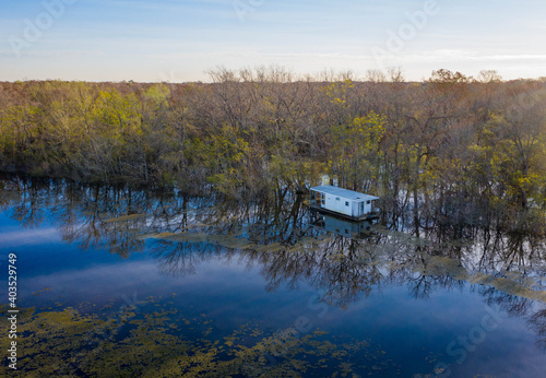 Swamp