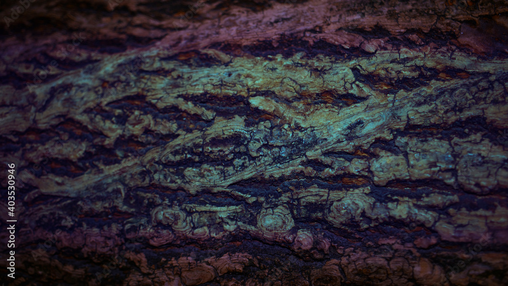 The banner of textured bark with purple and blue gradient was shot in macro style. There is a space for text.
