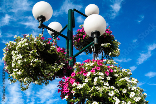 Street lamp and sky | Flowers photo