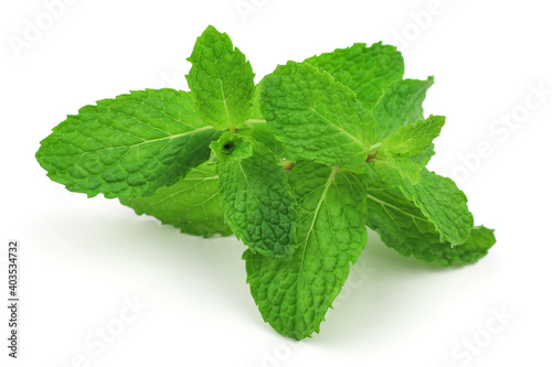 Mint leaves on a white background