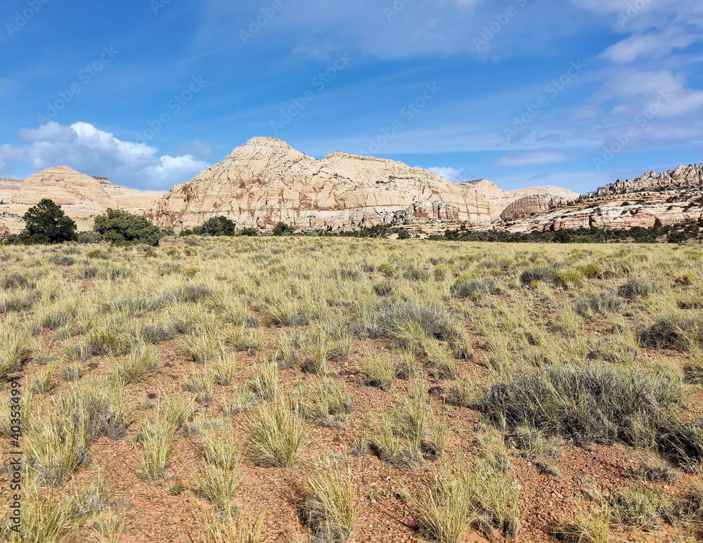 Golden sandstone geographical formations with a desert prairie landscape on a hot summer day at the Cohan Canyon Trail in Capitol Reef National Park Southern Utah.